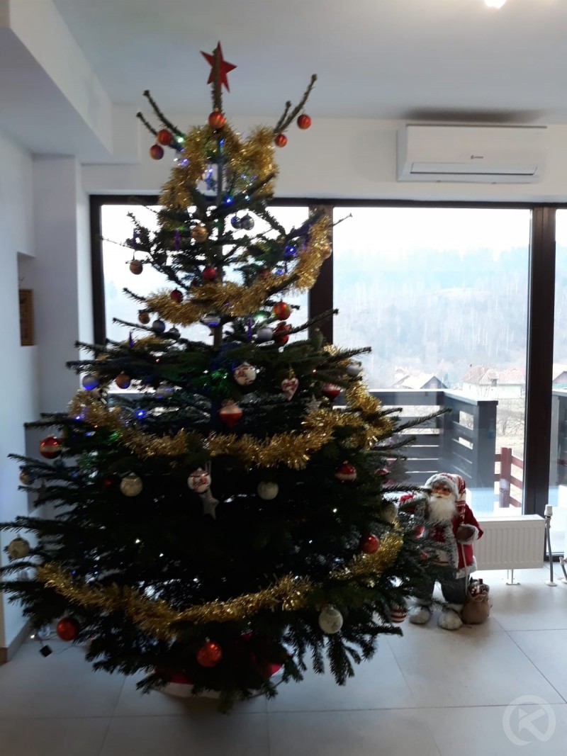 Podul Simonului Pension Șimon 690577 thumb