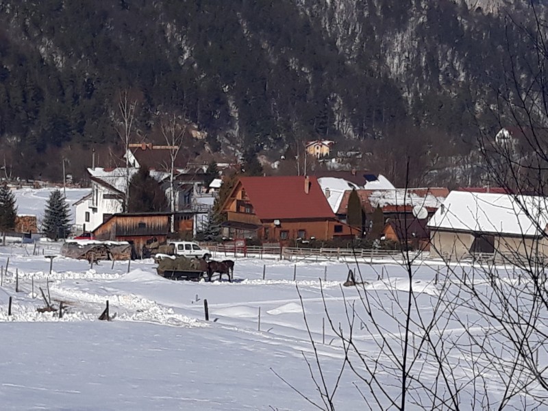 Podul Simonului Pension Șimon 690573 thumb