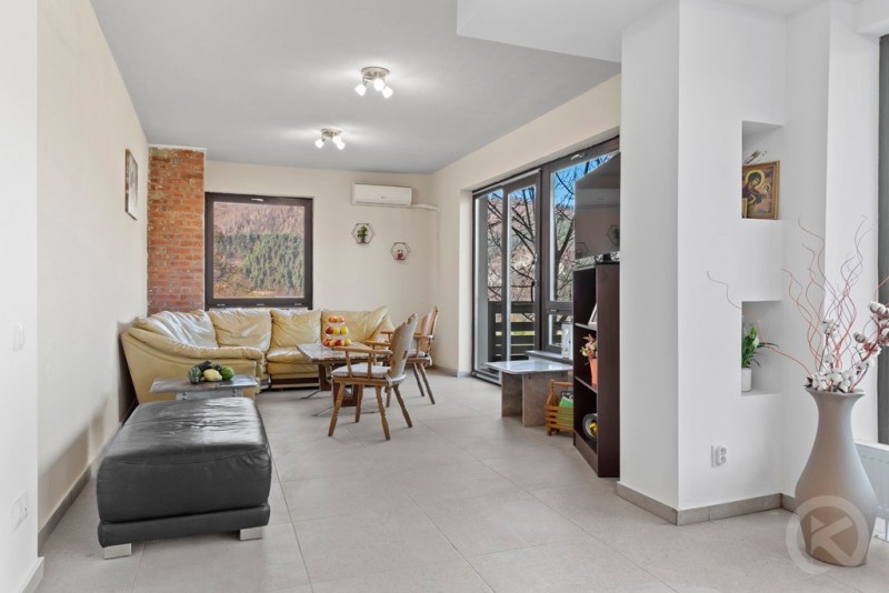 Podul Simonului Pension Șimon 690561 thumb