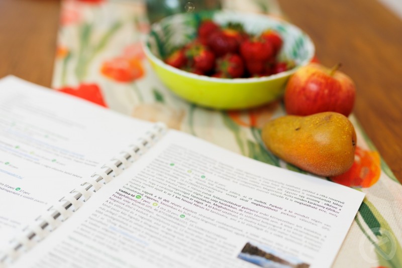 Tulipános Kuckó in Őrség Viszák 678468 thumb