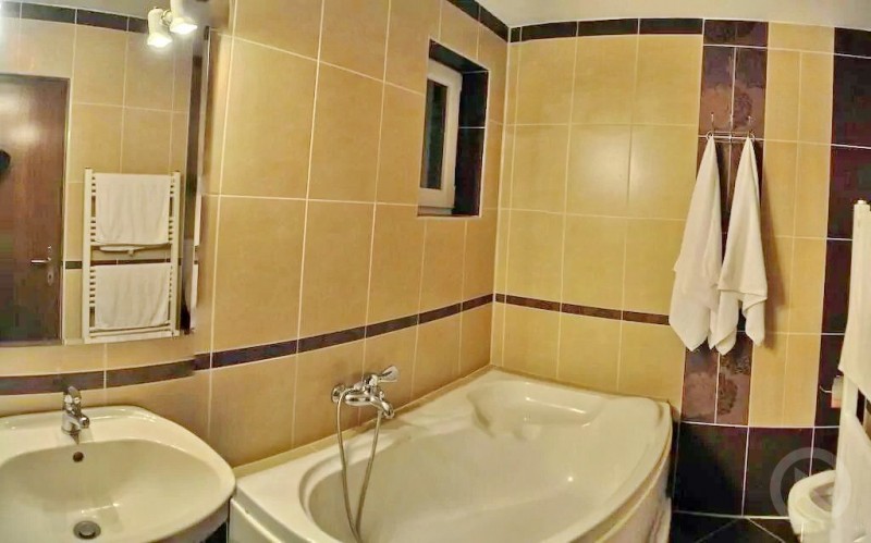 Rubin Pension Sovata 695295 thumb