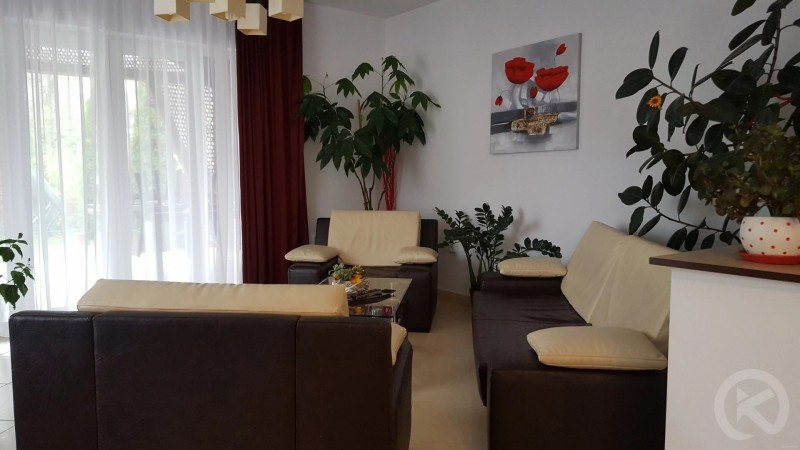 Rubin Pension Sovata 695293 thumb