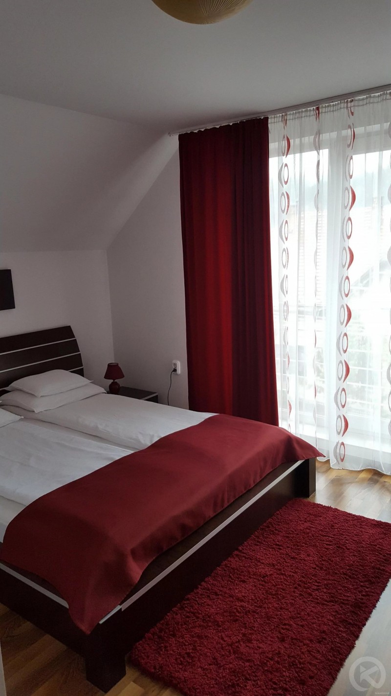 Rubin Pension Sovata 695281 thumb