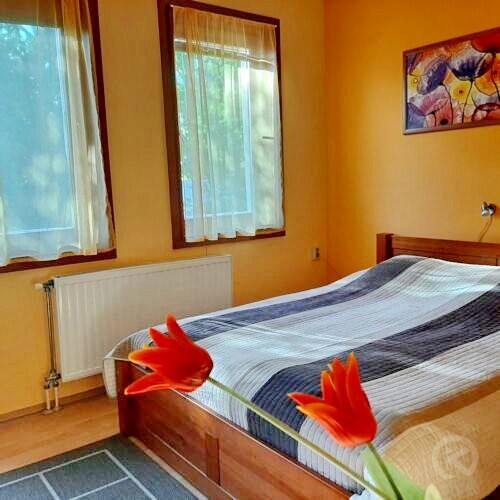 Aqua Apartment Gyula 708624 thumb