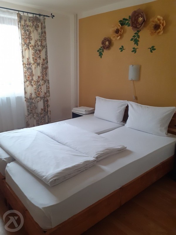 Bear Cave - Liniștită Pension Chișcău 689127 thumb