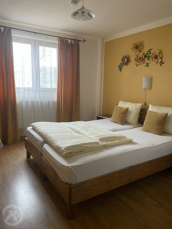 Bear Cave - Liniștită Pension Chișcău 689120 thumb