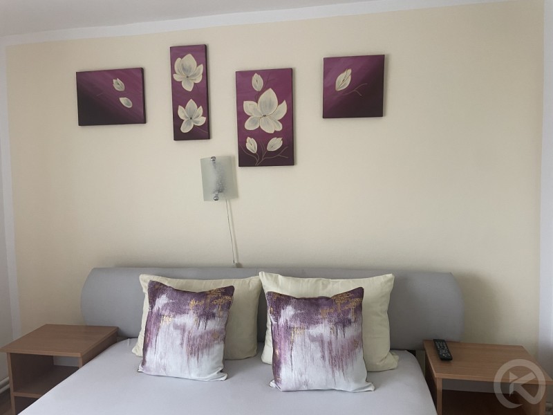 Bear Cave - Liniștită Pension Chișcău 689142 thumb