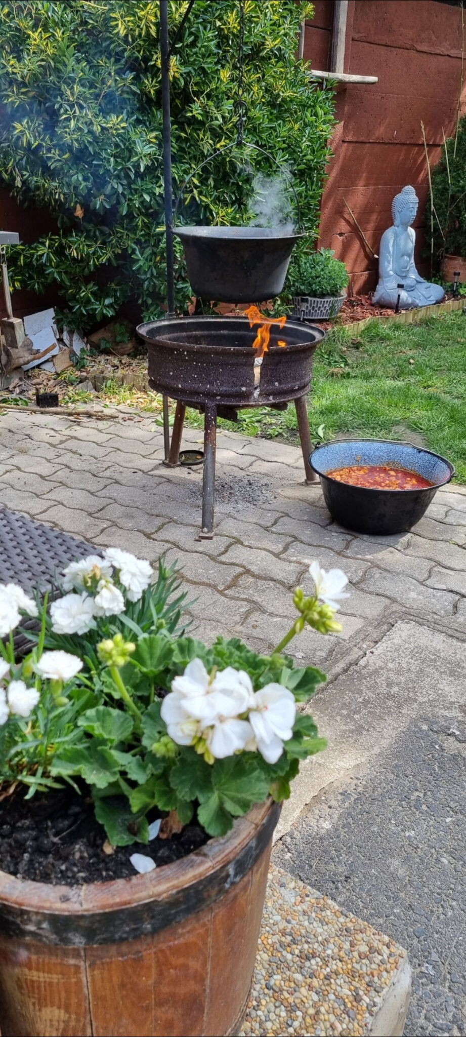 Leila Apartman Gyula 703009 thumb