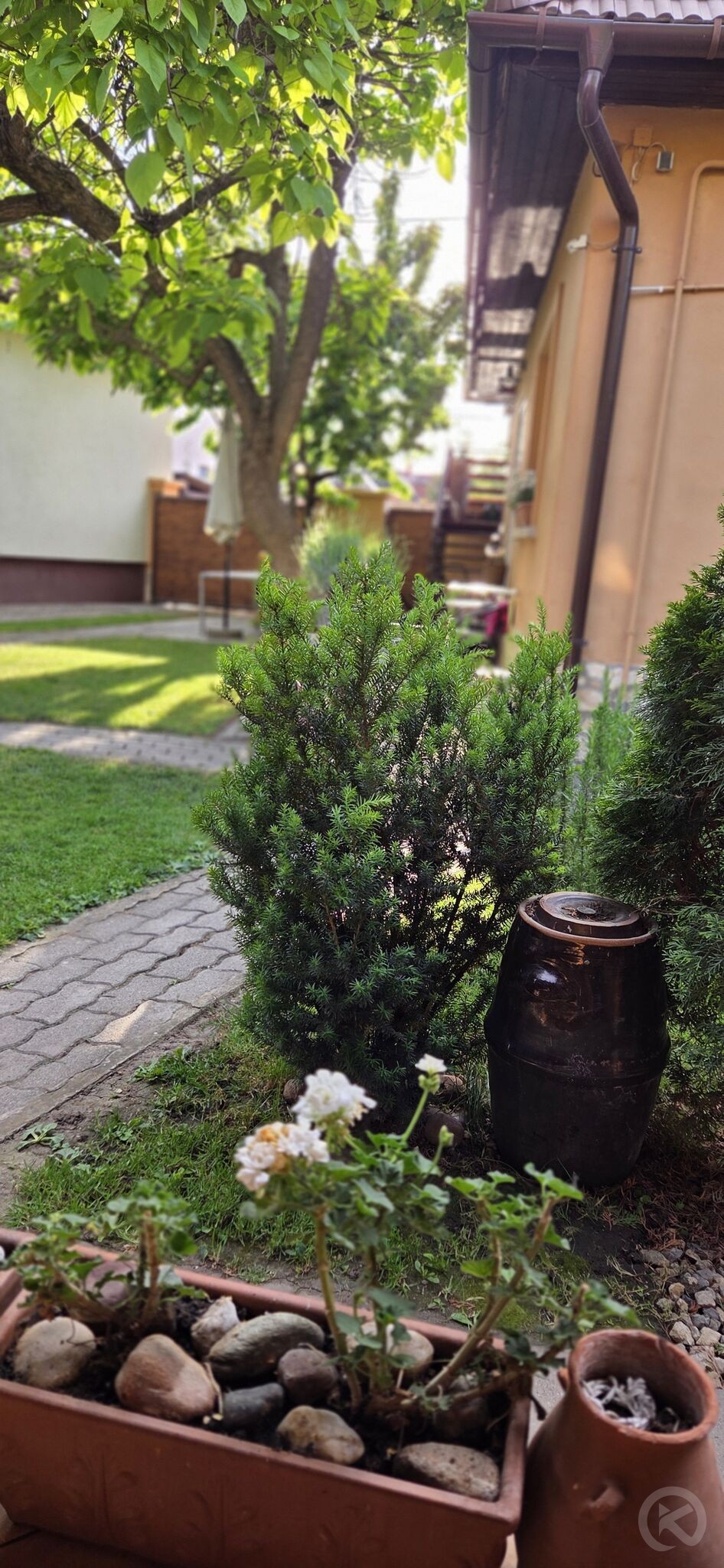 Leila Apartman Gyula 703022 thumb