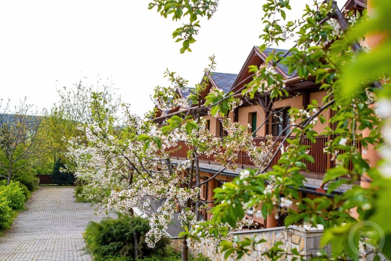 Bianka Apartment Bogács 693171 thumb