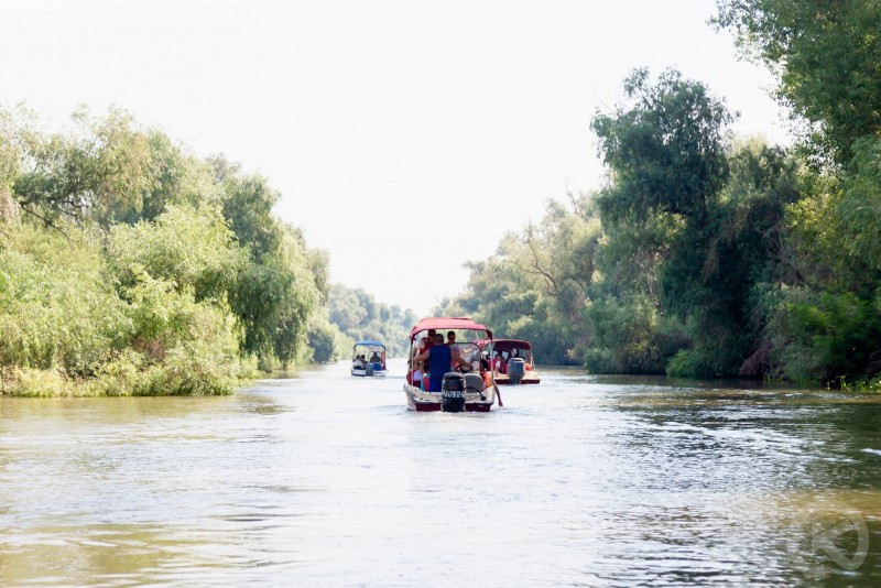 Ovidiu Guesthouse Crișan 698378 thumb