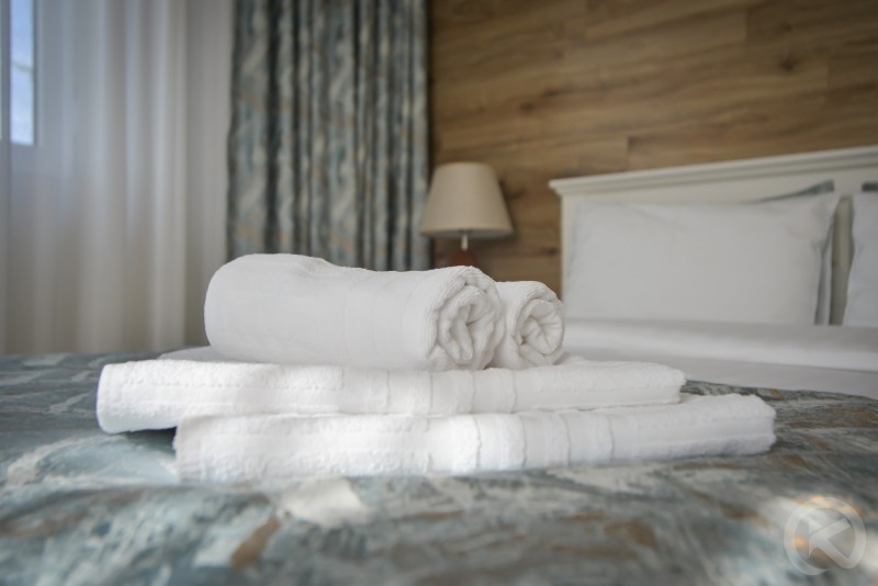 Ovidiu Guesthouse Crișan 698441 thumb