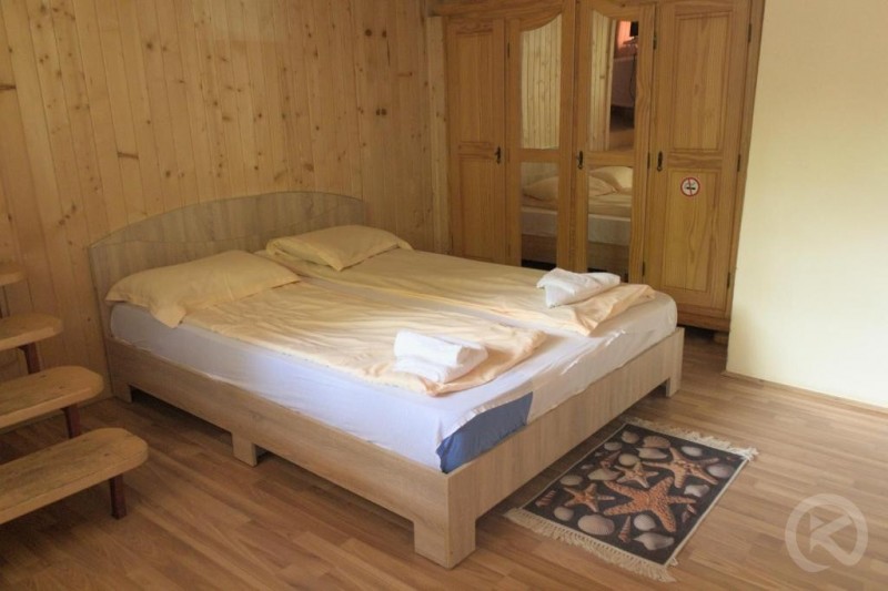 Nagy Pension Vișeu de Sus 702375 thumb