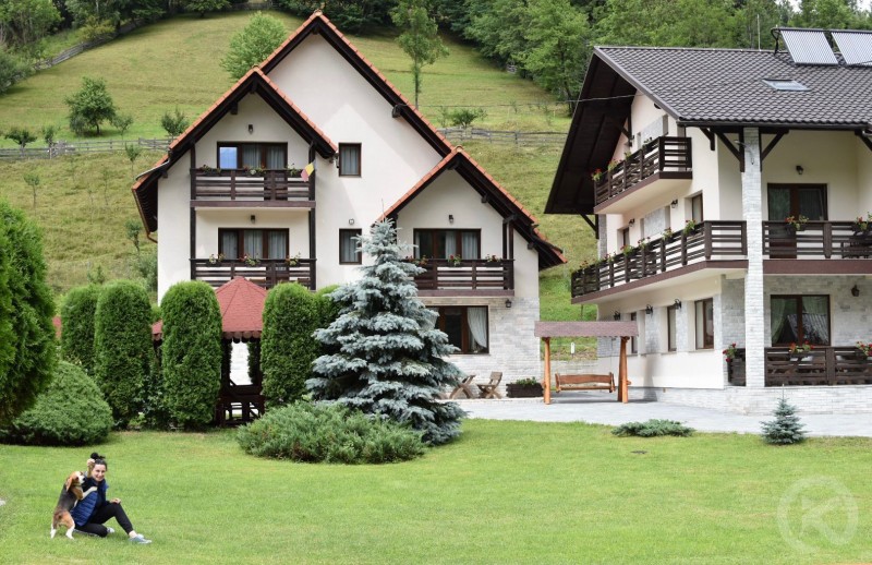 POIENIŢA PENSION Albac 713150 thumb