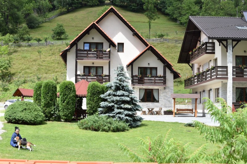 POIENIŢA PENSION Albac 713153 thumb