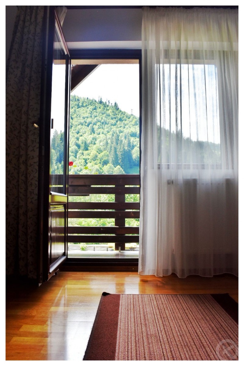 POIENIŢA PENSION Albac 713043 thumb