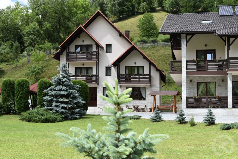 POIENIŢA PENSION Albac 713148 thumb