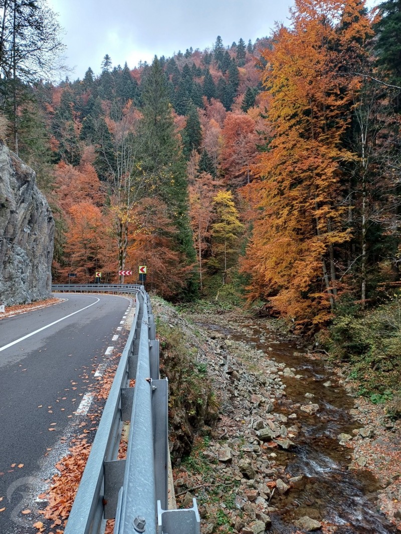 Happyland Adventure Park 110 thumb