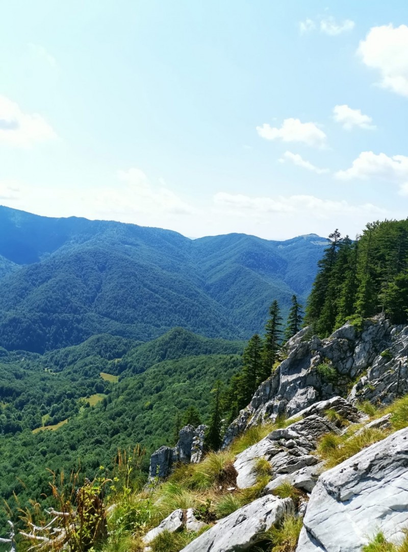 Glăvoi Meadow 134 thumb