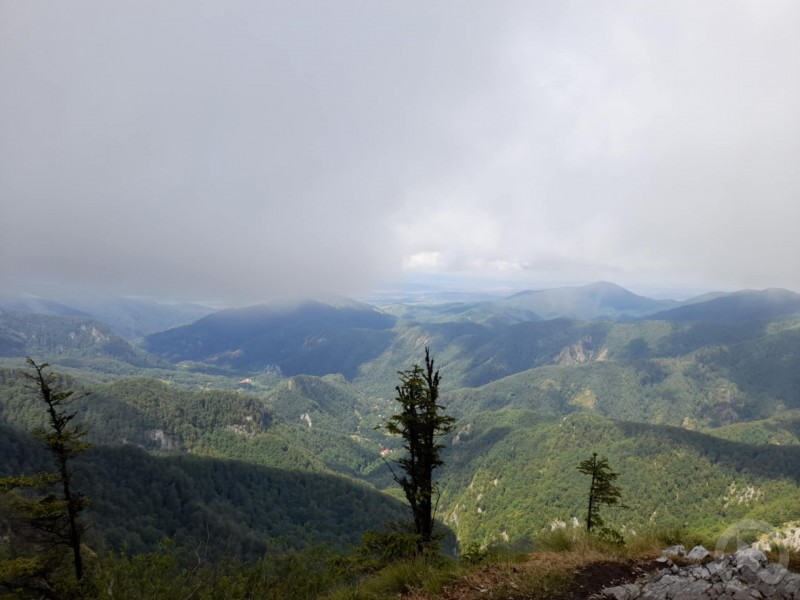 Glăvoi Meadow 135 thumb
