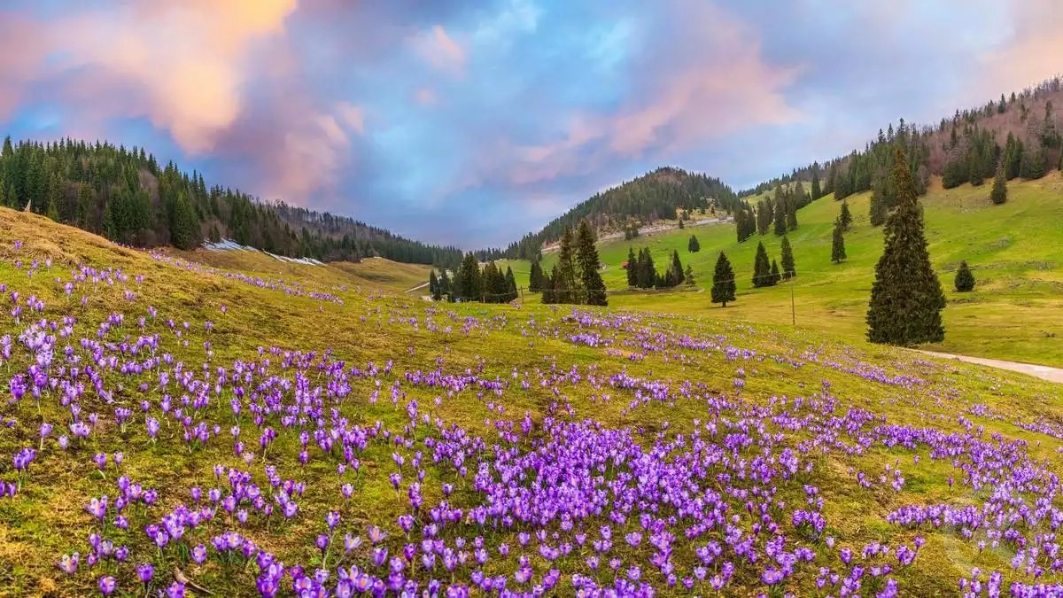 G&acirc;rda de Sus &ndash; Tourist Presentation