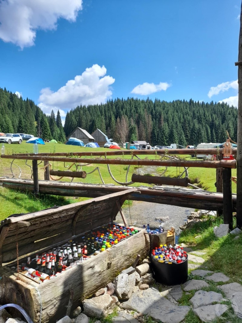 Glăvoi Meadow 131 thumb