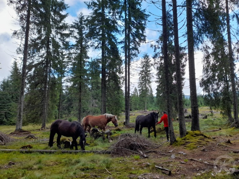 Padis tourist area 115 thumb