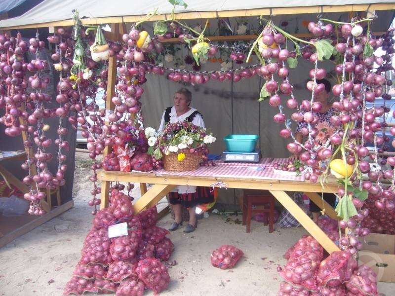 Chibed (Kib&eacute;d) &ndash; Tourism Guide in the Heart of Mureș County