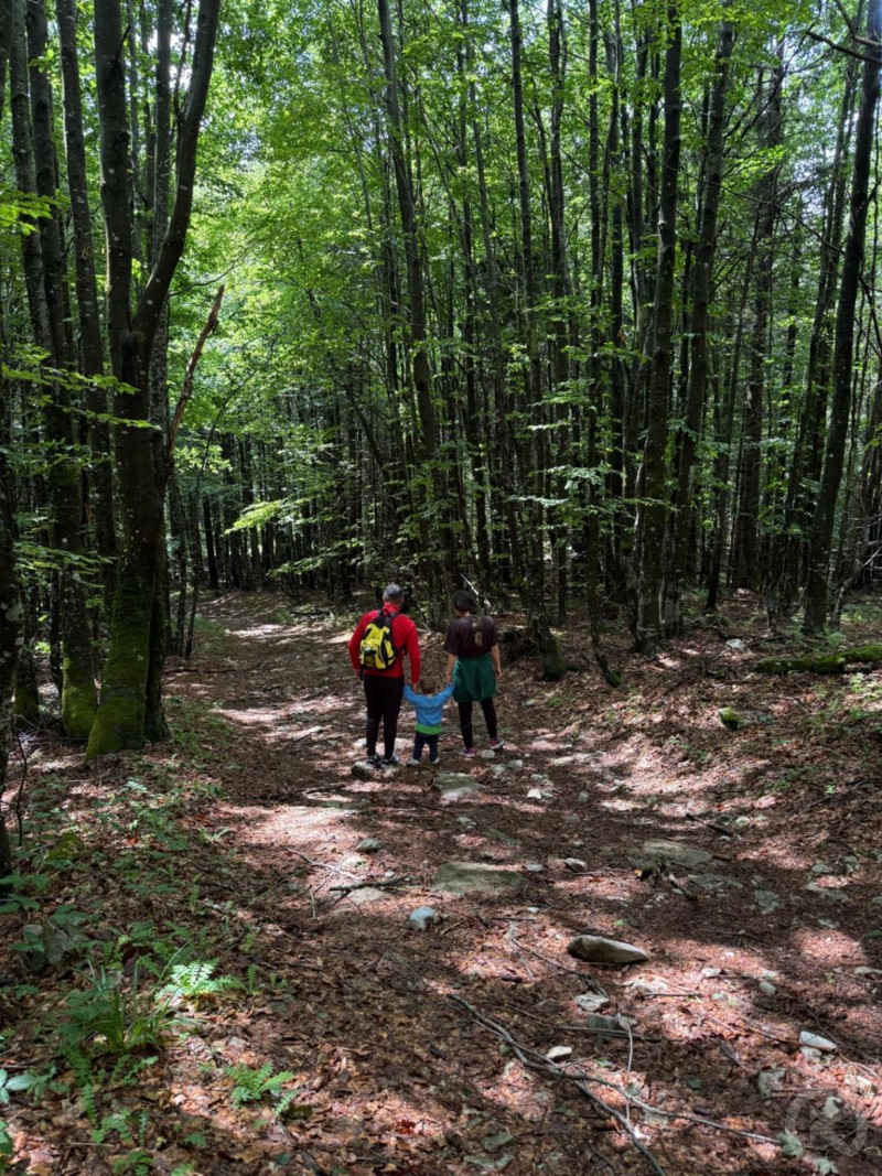 Padis tourist area 117 thumb