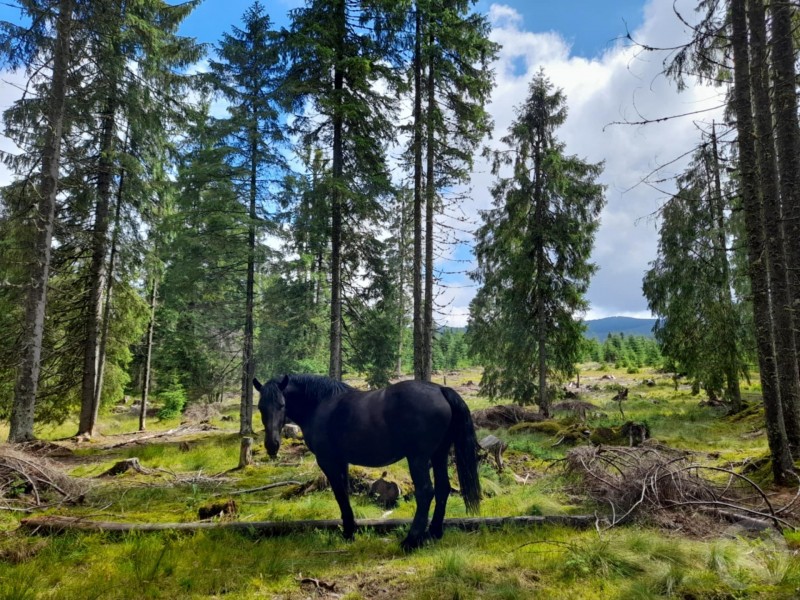 Padis tourist area 116 thumb