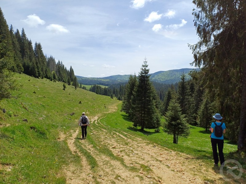 Happyland Adventure Park 111 thumb